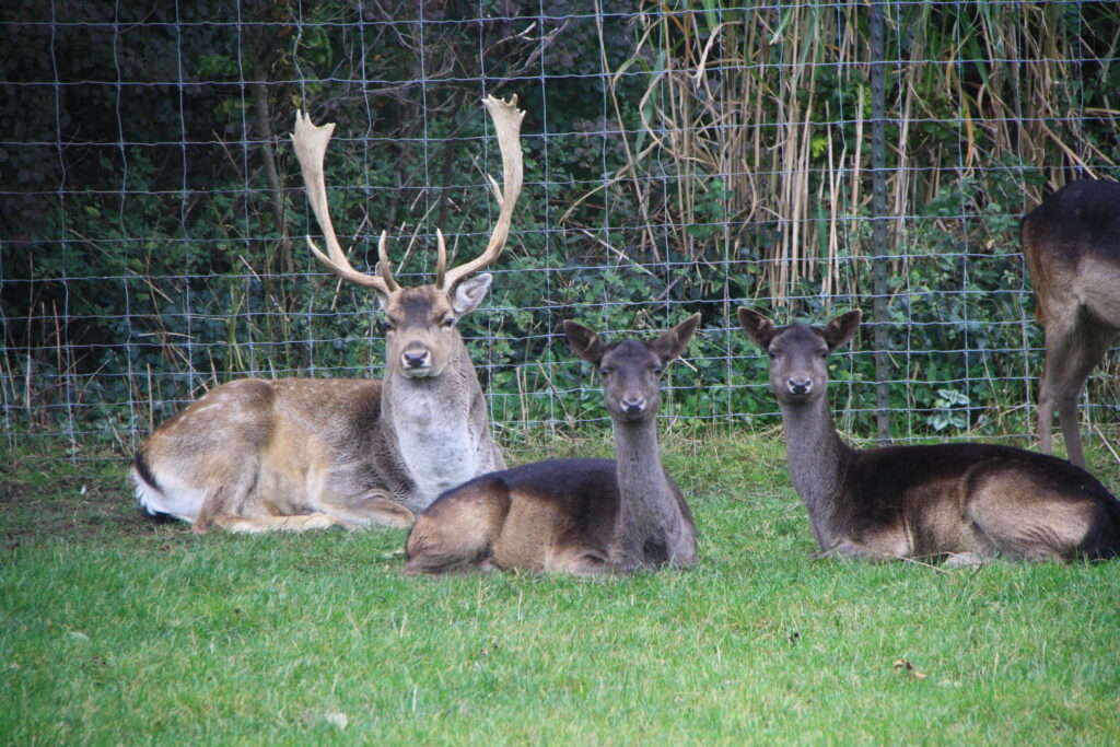 Das aktuelle Bild hat keinen Alternativtext. Der Dateiname ist: 13-scaled.jpg